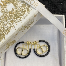 Christian Dior Earrings